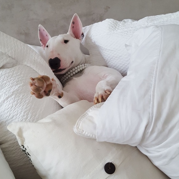 Ashley - Picture 3 of 3